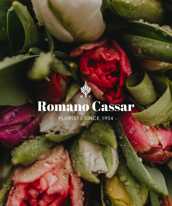Romano Cassar