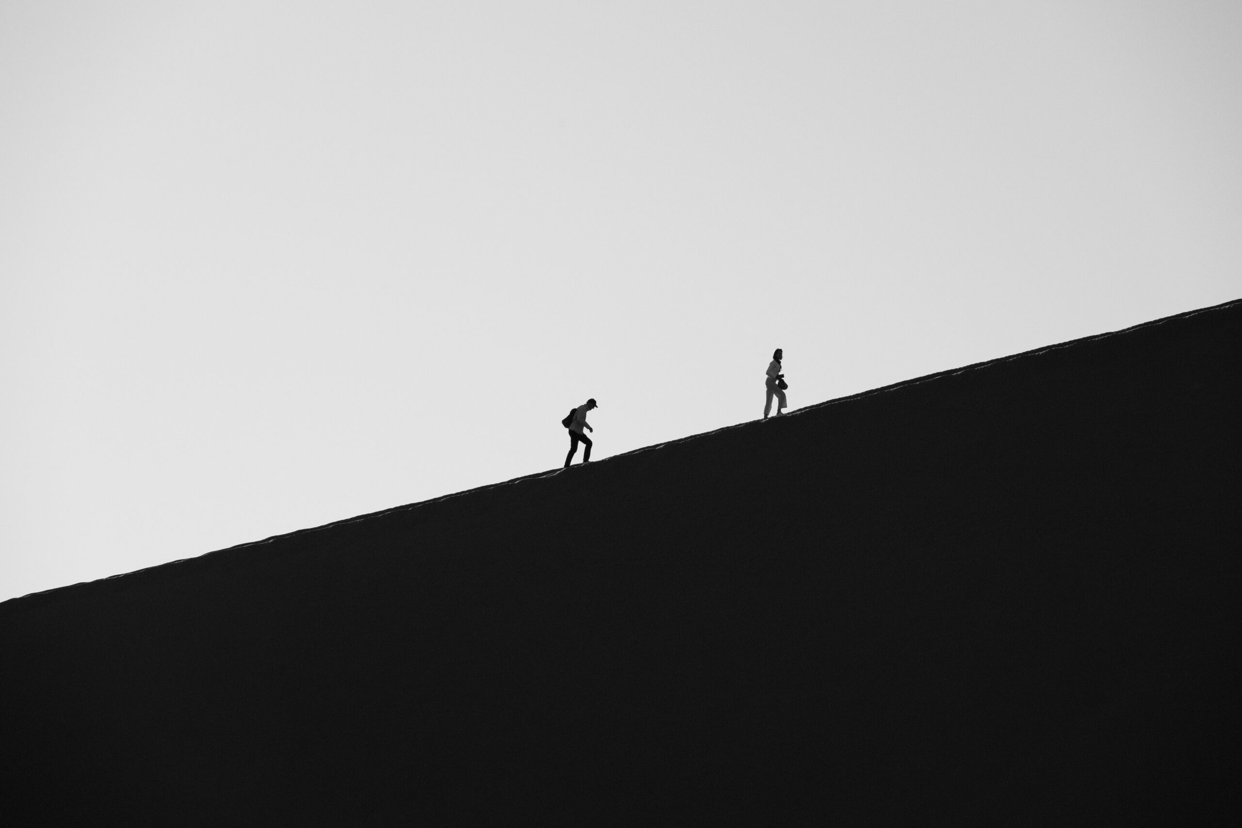 Two people walking along a sloping roof against a pale sky